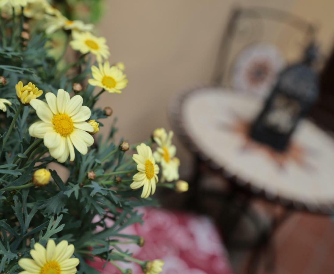Apartmán Casa Jessica Montecatini Terme Exteriér fotografie